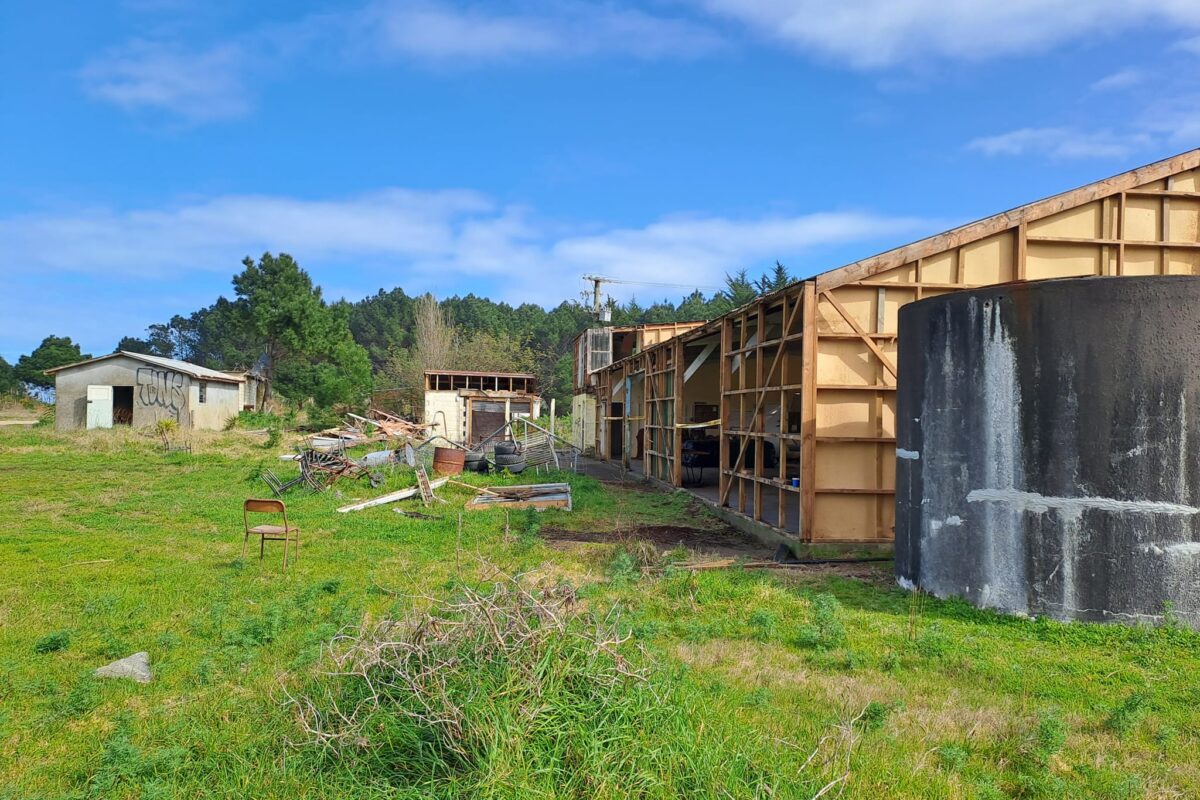 4_-_Asbestos_Stripped_Main_Building_YMCA_project_scope_group