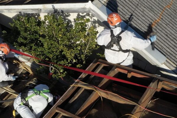 image of Scope Group workers wearing PPE for asbestos removal, demolition and property deconstruction services in New Zealand