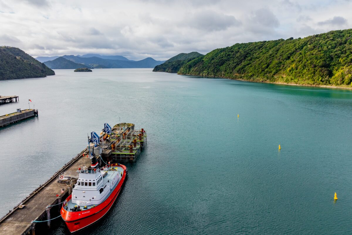 drone image of Picton harbour, NZ